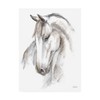 Trademark Fine Art Ethan Harper 'Watercolor Equine Study II' Canvas Art, 35x47 WAG15797-C3547GG